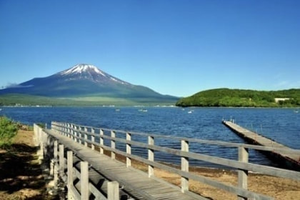 コイヌマ|トランジションズ