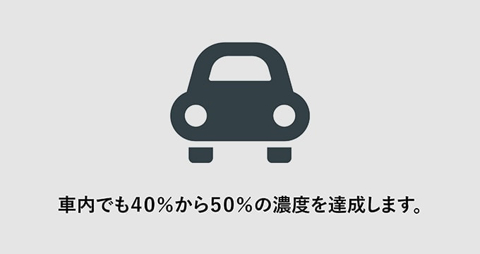 コイヌマ|トランジションズ
