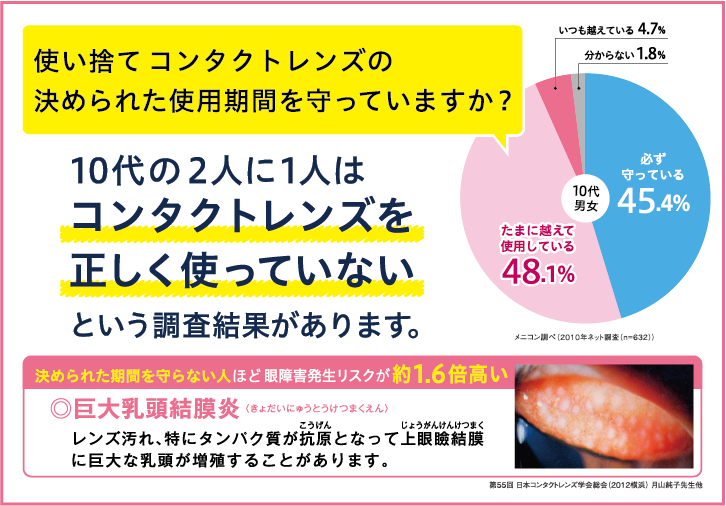 コイヌマ|メルスプラン