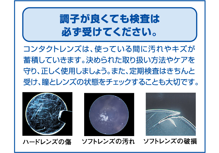 コイヌマ|メルスプラン